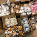 Teddy pallets - Image 2