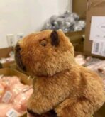 Teddy pallets - Image 5